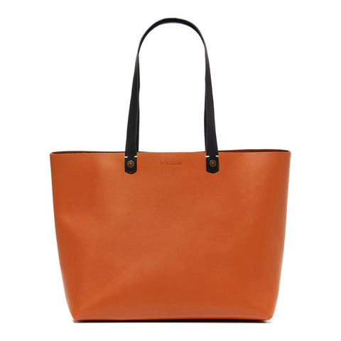 Russet Colorblock Amelia Tote